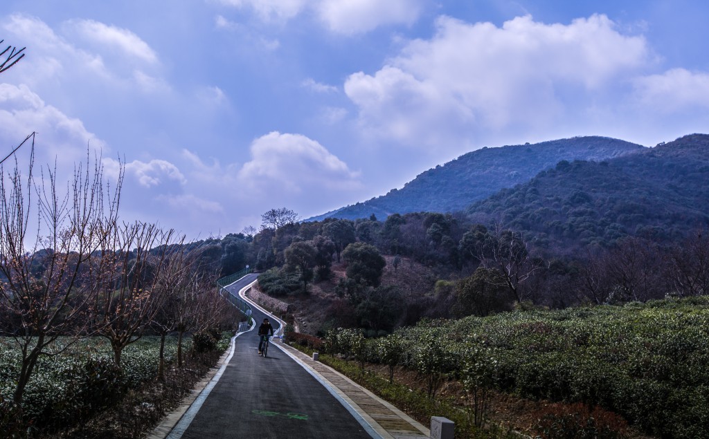 骑游路线